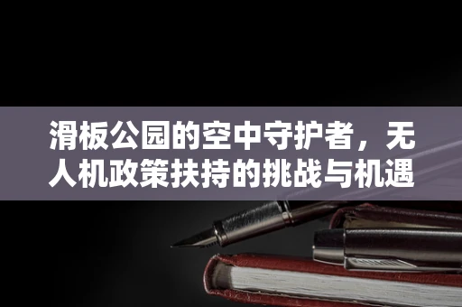 滑板公园的空中守护者，无人机政策扶持的挑战与机遇