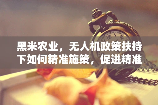 黑米农业，无人机政策扶持下如何精准施策，促进精准农业发展？