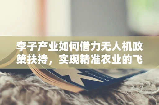 李子产业如何借力无人机政策扶持，实现精准农业的飞跃？