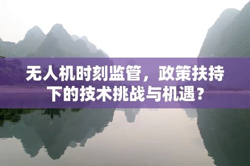 无人机时刻监管，政策扶持下的技术挑战与机遇？