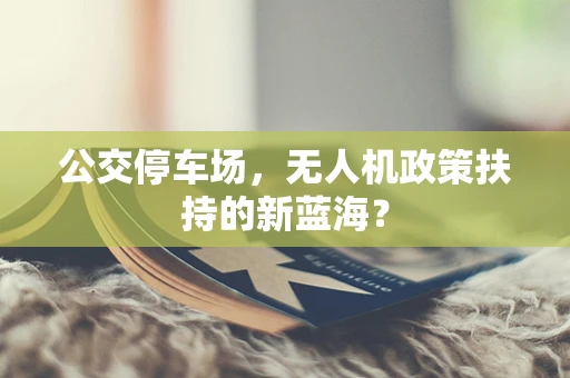 公交停车场，无人机政策扶持的新蓝海？