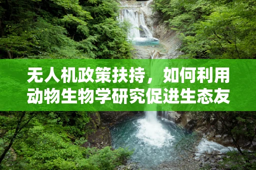 无人机政策扶持，如何利用动物生物学研究促进生态友好型无人机发展？