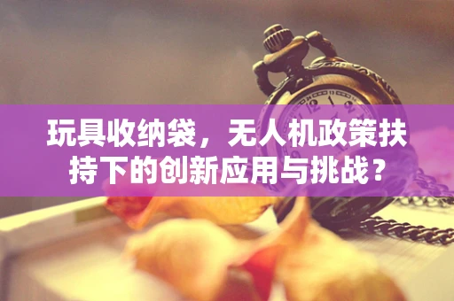 玩具收纳袋，无人机政策扶持下的创新应用与挑战？
