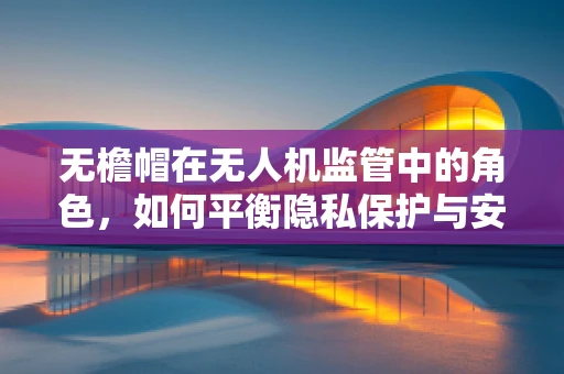 无檐帽在无人机监管中的角色，如何平衡隐私保护与安全监管？