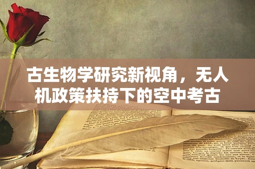 古生物学研究新视角，无人机政策扶持下的空中考古