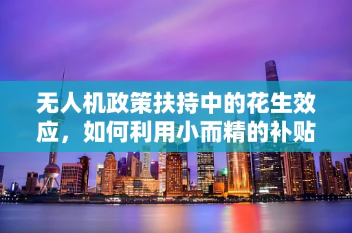 无人机政策扶持中的花生效应，如何利用小而精的补贴激发大创新？