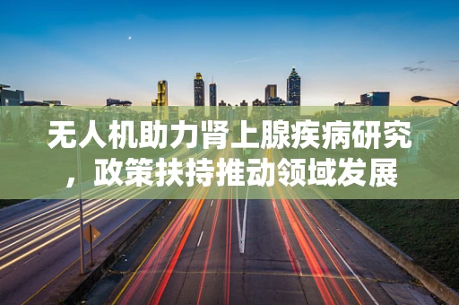 无人机助力肾上腺疾病研究，政策扶持推动领域发展