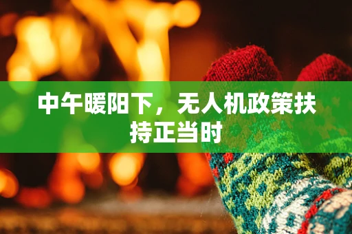 中午暖阳下，无人机政策扶持正当时