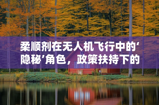 柔顺剂在无人机飞行中的‘隐秘’角色，政策扶持下的创新应用？