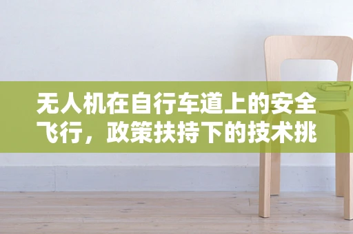 无人机在自行车道上的安全飞行，政策扶持下的技术挑战与机遇？