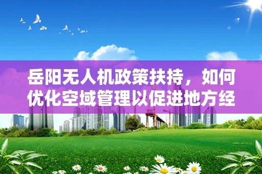 岳阳无人机政策扶持，如何优化空域管理以促进地方经济发展？