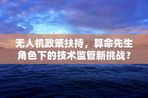 无人机政策扶持，算命先生角色下的技术监管新挑战？