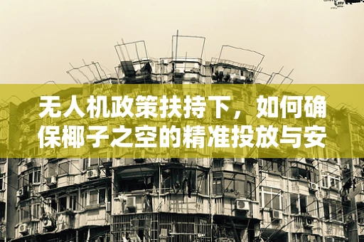 无人机政策扶持下，如何确保椰子之空的精准投放与安全？
