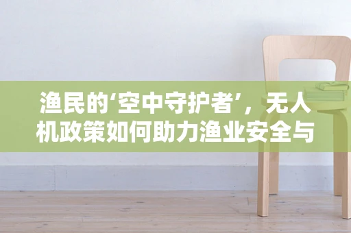 渔民的‘空中守护者’，无人机政策如何助力渔业安全与高效？