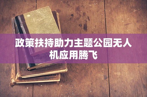 政策扶持助力主题公园无人机应用腾飞