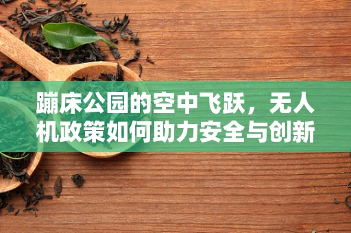 蹦床公园的空中飞跃，无人机政策如何助力安全与创新？