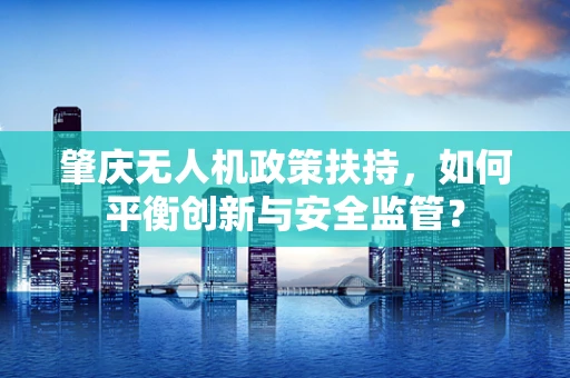肇庆无人机政策扶持，如何平衡创新与安全监管？
