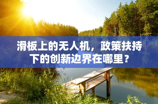 滑板上的无人机，政策扶持下的创新边界在哪里？