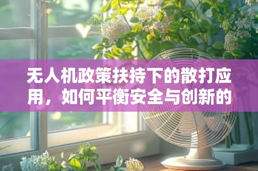 无人机政策扶持下的散打应用，如何平衡安全与创新的边界？