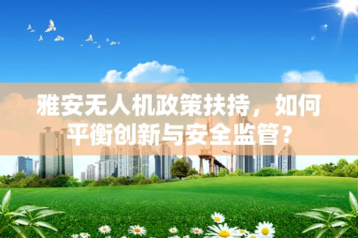 雅安无人机政策扶持，如何平衡创新与安全监管？