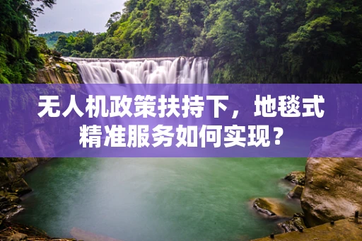 无人机政策扶持下，地毯式精准服务如何实现？
