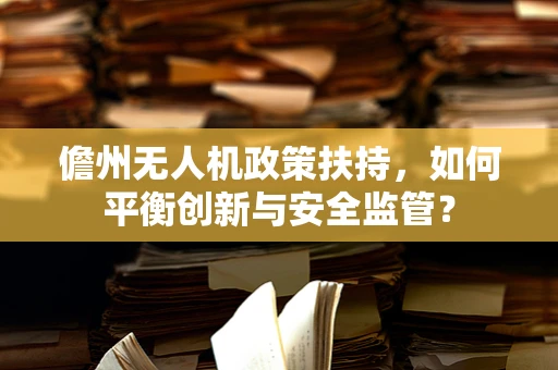 儋州无人机政策扶持，如何平衡创新与安全监管？