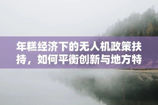 年糕经济下的无人机政策扶持，如何平衡创新与地方特色？