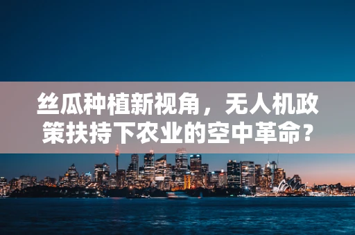 丝瓜种植新视角，无人机政策扶持下农业的空中革命？