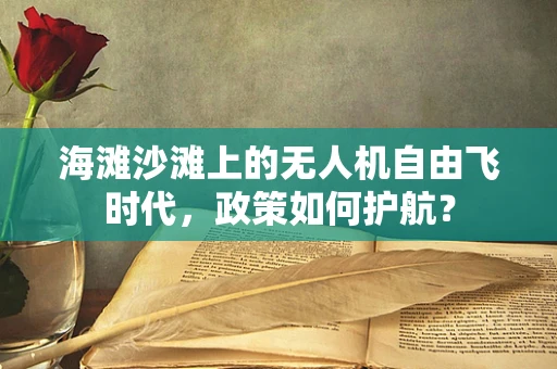 海滩沙滩上的无人机自由飞时代，政策如何护航？