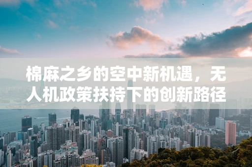 棉麻之乡的空中新机遇，无人机政策扶持下的创新路径