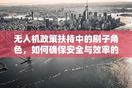 无人机政策扶持中的刷子角色，如何确保安全与效率的双重保障？