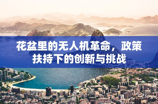花盆里的无人机革命，政策扶持下的创新与挑战