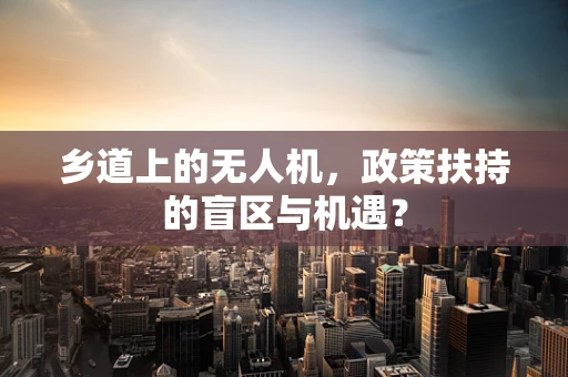 乡道上的无人机，政策扶持的盲区与机遇？