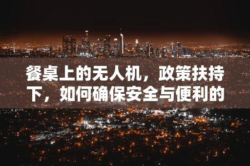 餐桌上的无人机，政策扶持下，如何确保安全与便利的双重保障？