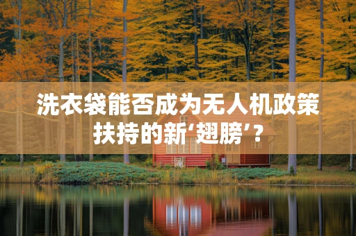 洗衣袋能否成为无人机政策扶持的新‘翅膀’？