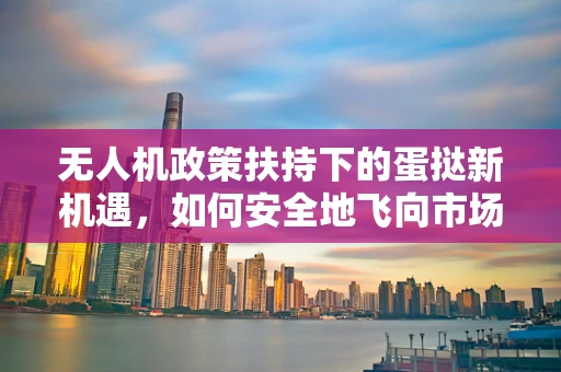无人机政策扶持下的蛋挞新机遇，如何安全地飞向市场？