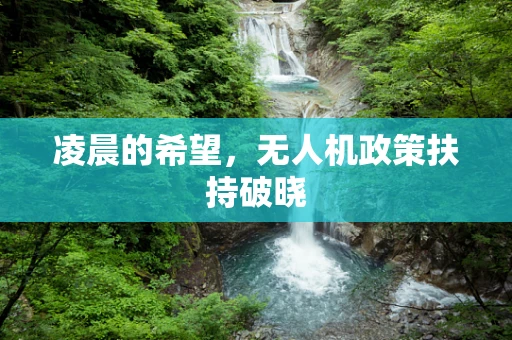 凌晨的希望，无人机政策扶持破晓