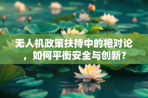 无人机政策扶持中的相对论，如何平衡安全与创新？