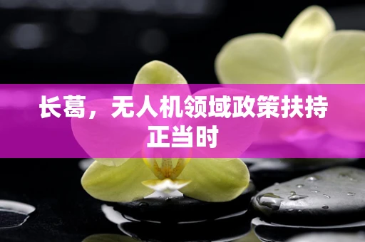 长葛，无人机领域政策扶持正当时