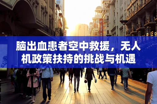 脑出血患者空中救援，无人机政策扶持的挑战与机遇