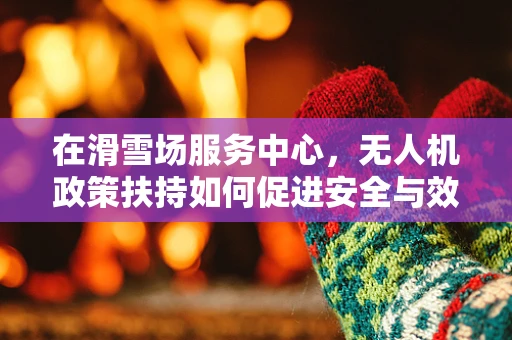 在滑雪场服务中心，无人机政策扶持如何促进安全与效率的双重提升？