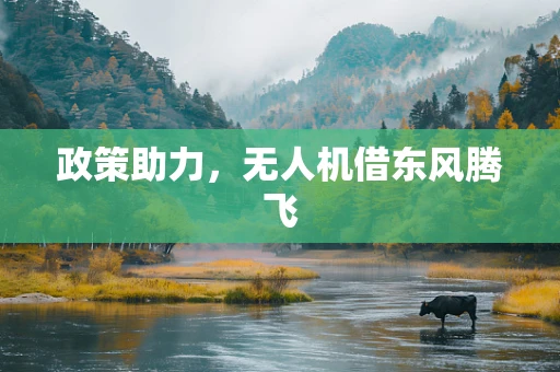 政策助力，无人机借东风腾飞