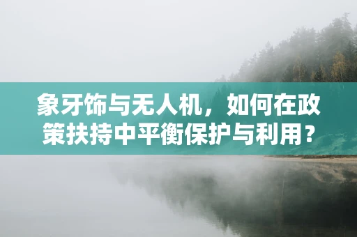 象牙饰与无人机，如何在政策扶持中平衡保护与利用？