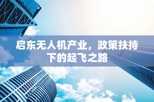 启东无人机产业，政策扶持下的起飞之路
