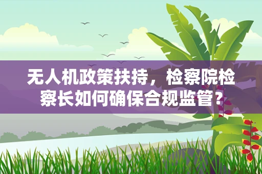 无人机政策扶持，检察院检察长如何确保合规监管？