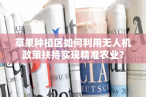 草果种植区如何利用无人机政策扶持实现精准农业？