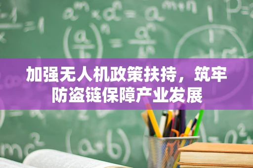 加强无人机政策扶持，筑牢防盗链保障产业发展