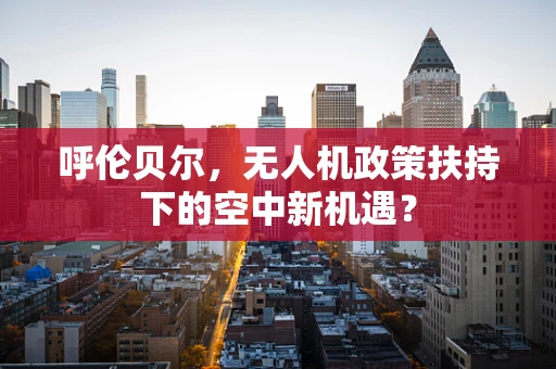 呼伦贝尔，无人机政策扶持下的空中新机遇？