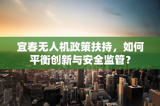 宜春无人机政策扶持，如何平衡创新与安全监管？