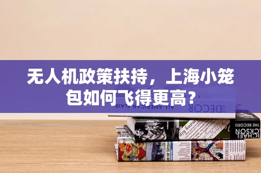 无人机政策扶持，上海小笼包如何飞得更高？